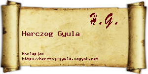 Herczog Gyula névjegykártya